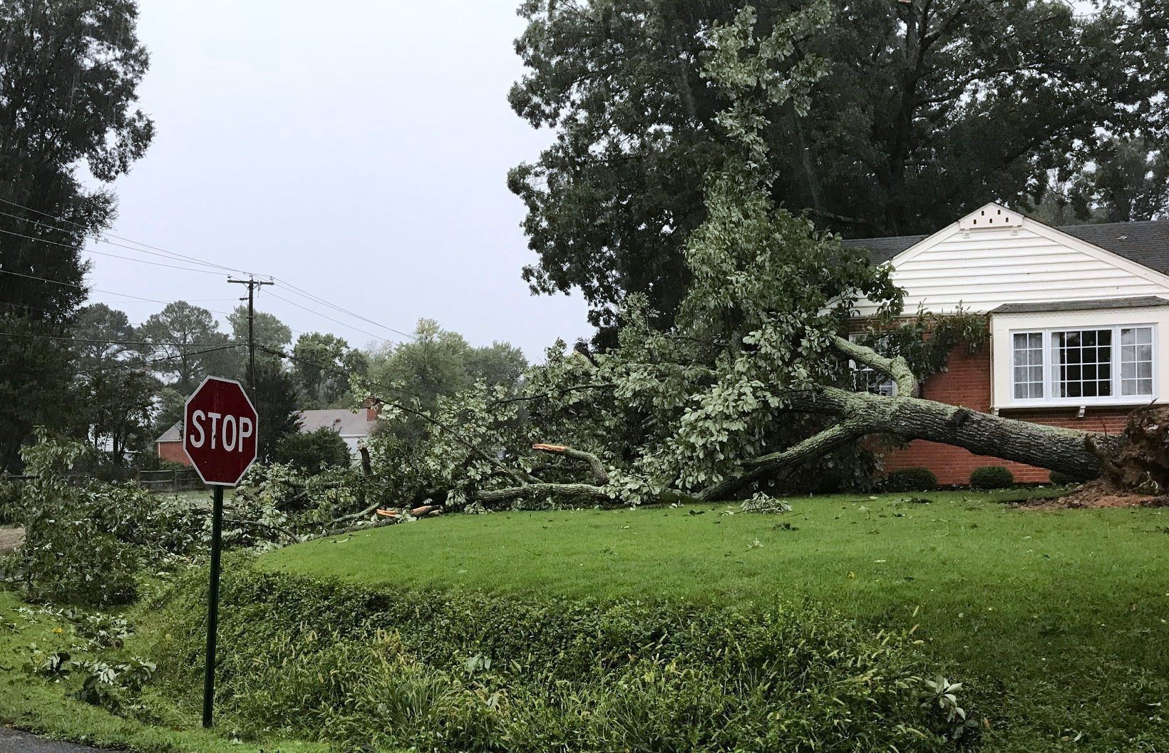 Storm damage